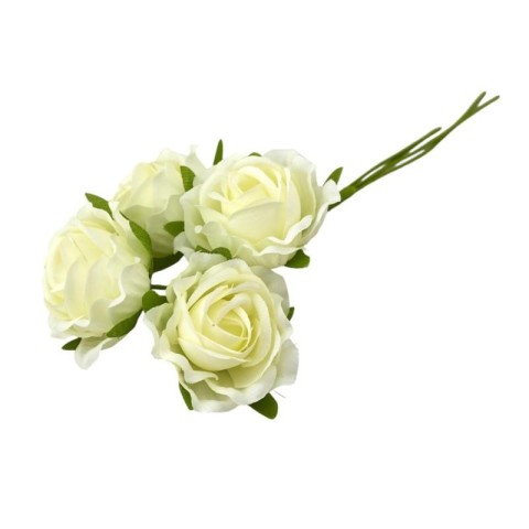 ROSA SFUMATA PANNA D4